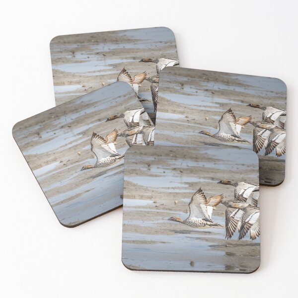 Item preview, Australian Native Birds - Australian Wood  Ducks designed and sold by Ozjanette90.