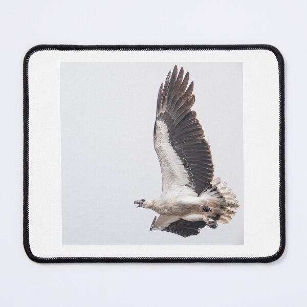 Item preview, Australian Native Birds - White-bellied Sea-eagle designed and sold by Ozjanette90.
