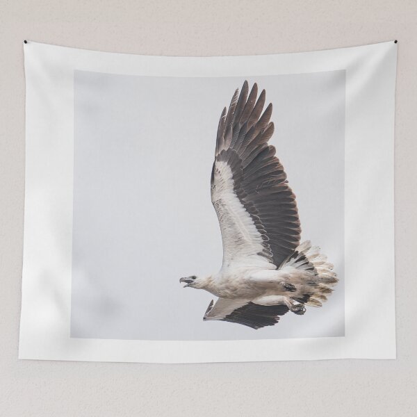 Item preview, Australian Native Birds - White-bellied Sea-eagle designed and sold by Ozjanette90.