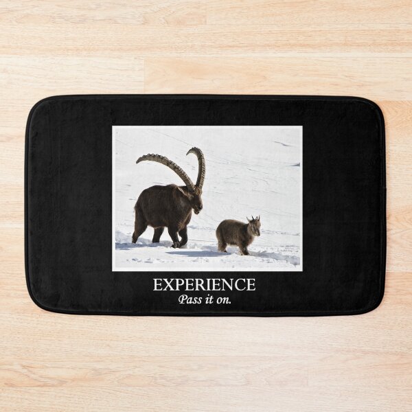 Item preview, Experience designed and sold by locustgirl.
