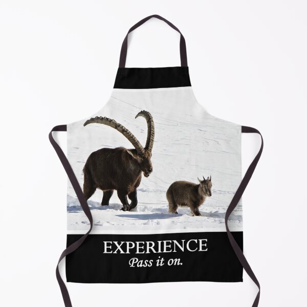 Item preview, Experience designed and sold by locustgirl.