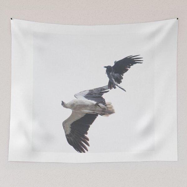 Item preview, Australian Native Birds - White-bellied sea-eagle and Torresian crow designed and sold by Ozjanette90.