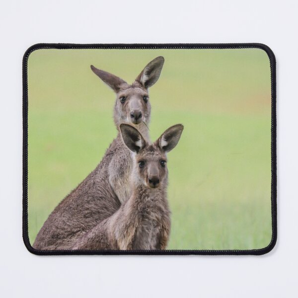 Item preview, Eastern grey kangaroos. designed and sold by FallenTrickster.