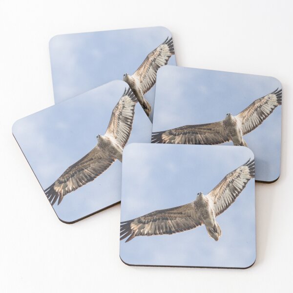 Item preview, Australian Native Birds - Juvenile White-bellied Sea-eagle designed and sold by Ozjanette90.