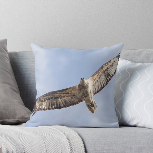 Item preview, Australian Native Birds - Juvenile White-bellied Sea-eagle designed and sold by Ozjanette90.