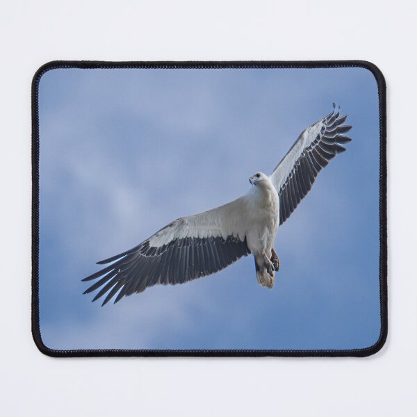 Item preview, Australian Native Birds - White-bellied sea-eagle designed and sold by Ozjanette90.