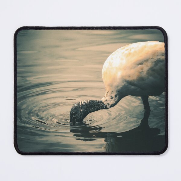 Item preview, Australian white ibis. (Bin chicken). designed and sold by FallenTrickster.