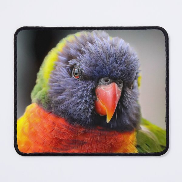 Item preview, Rainbow lorikeet. designed and sold by FallenTrickster.