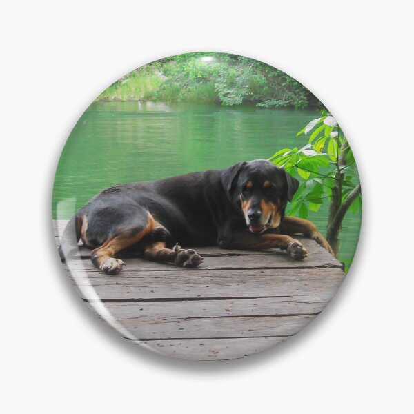 Item preview, Happy Dog on the Rio Dulce  designed and sold by heatherfriedman.