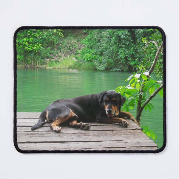 Item preview, Happy Dog on the Rio Dulce  designed and sold by heatherfriedman.