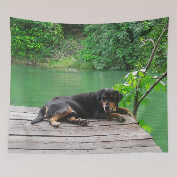Item preview, Happy Dog on the Rio Dulce  designed and sold by heatherfriedman.