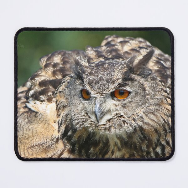 Item preview, Eurasian eagle owl designed and sold by locustgirl.