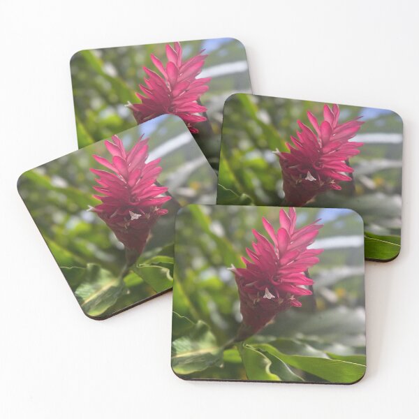 Item preview, Tropical Pink Ginger in Morning Light designed and sold by TrisaThyme.