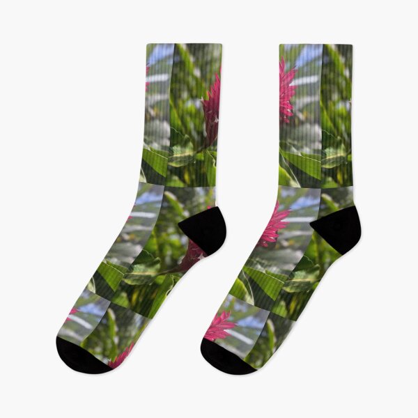 Item preview, Tropical Pink Ginger in Morning Light designed and sold by TrisaThyme.