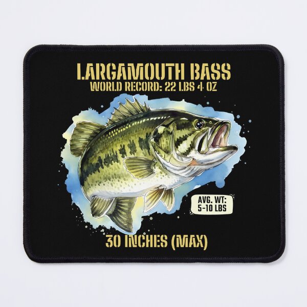 Item preview, Educational Largemouth Bass Overview with Bright Visual Style designed and sold by SplashTastic.