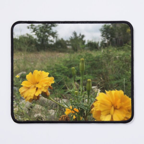 Item preview, Photo of Marigolds designed and sold by SunDog-Designs.