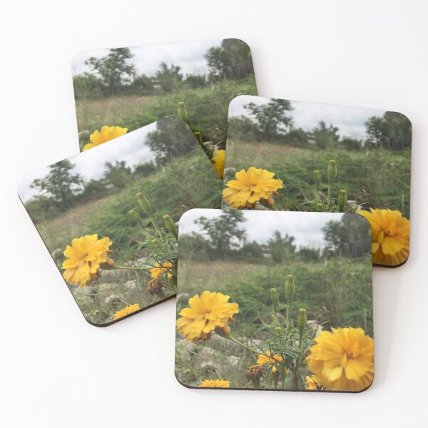 Item preview, Photo of Marigolds designed and sold by SunDog-Designs.