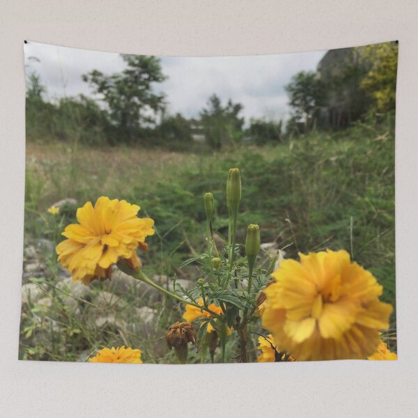 Item preview, Photo of Marigolds designed and sold by SunDog-Designs.