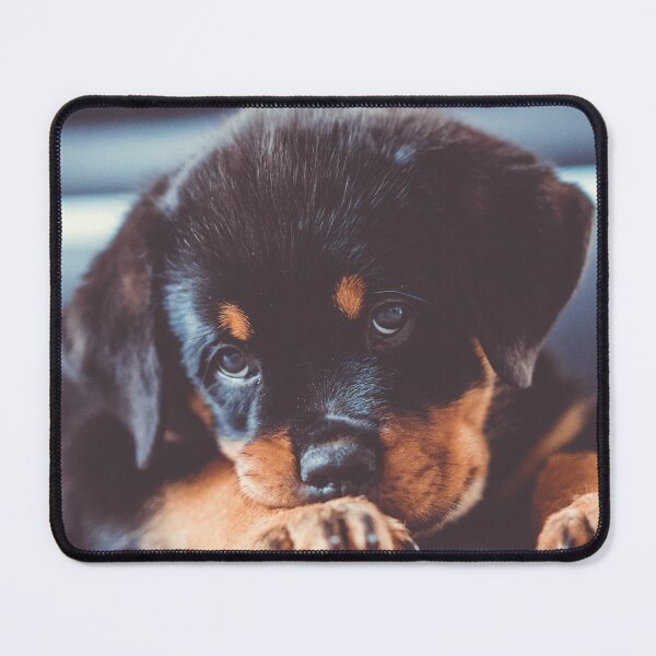 Item preview, Cute Rottweiler Puppy designed and sold by VanGaldo.