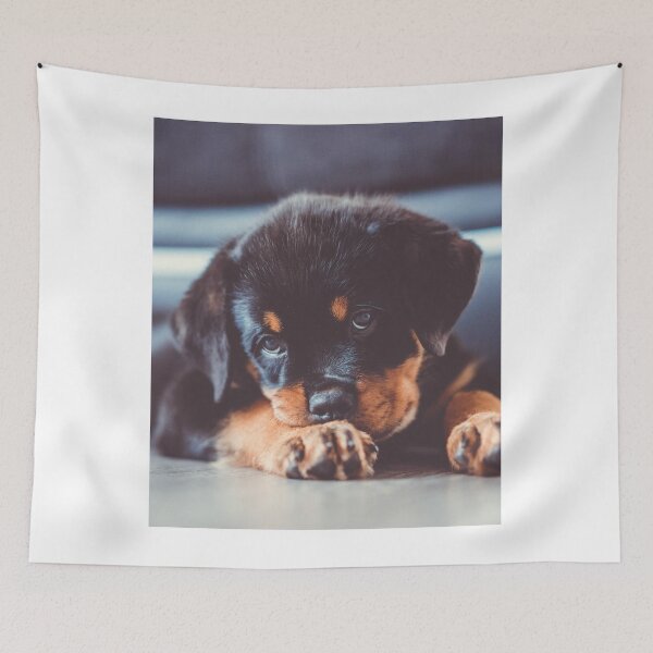 Item preview, Cute Rottweiler Puppy designed and sold by VanGaldo.