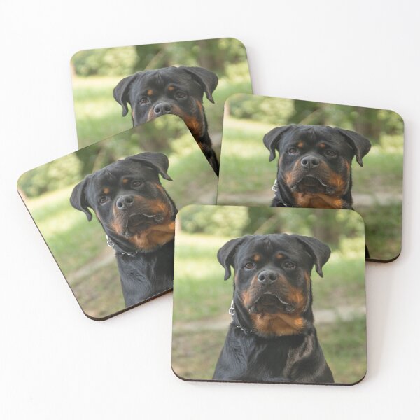 Item preview, Rottweiler Dog Observing Around designed and sold by VanGaldo.