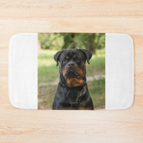 Item preview, Rottweiler Dog Observing Around designed and sold by VanGaldo.