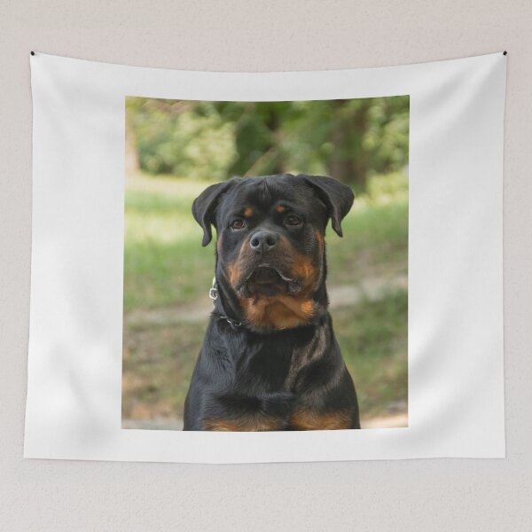 Item preview, Rottweiler Dog Observing Around designed and sold by VanGaldo.