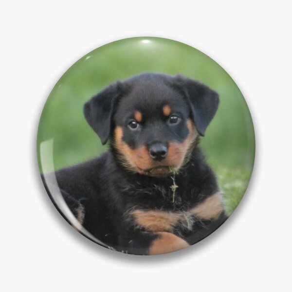 Item preview, Cute Rottweiler Puppy Relaxing the Grass designed and sold by VanGaldo.