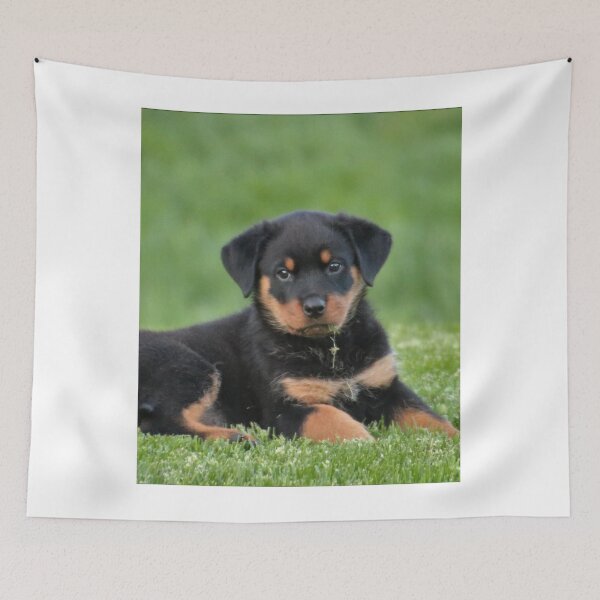 Item preview, Cute Rottweiler Puppy Relaxing the Grass designed and sold by VanGaldo.