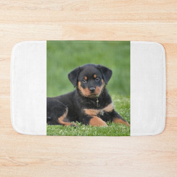 Item preview, Cute Rottweiler Puppy Relaxing the Grass designed and sold by VanGaldo.