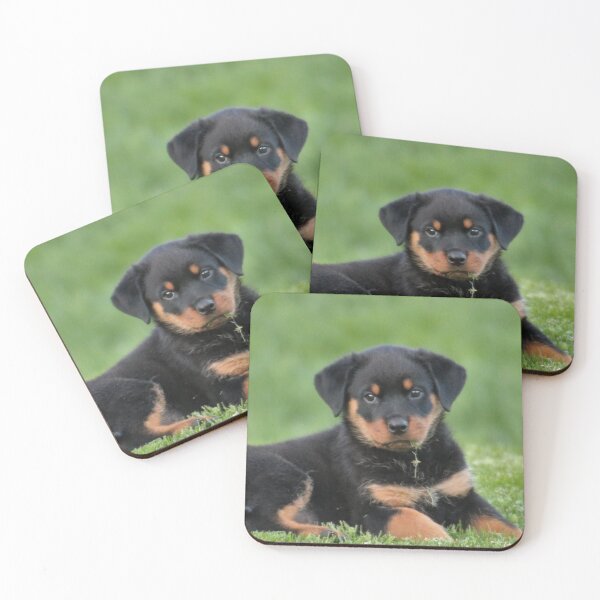 Item preview, Cute Rottweiler Puppy Relaxing the Grass designed and sold by VanGaldo.