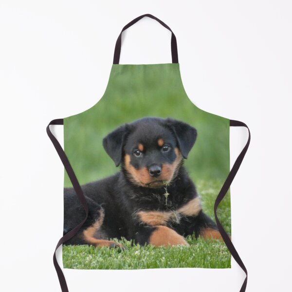 Item preview, Cute Rottweiler Puppy Relaxing the Grass designed and sold by VanGaldo.
