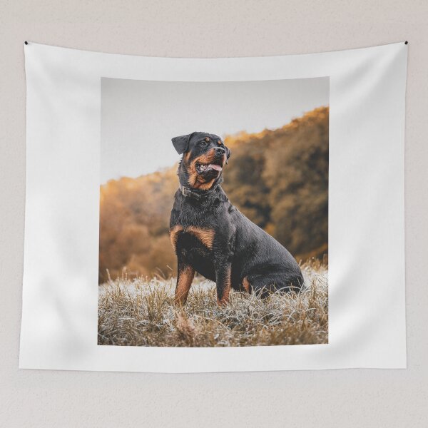 Item preview, Rottweiler Dog Wandering in the Forest designed and sold by VanGaldo.