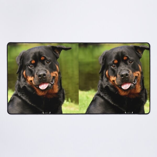 Item preview, Rottweiler Dog Loves Near the Pond designed and sold by VanGaldo.