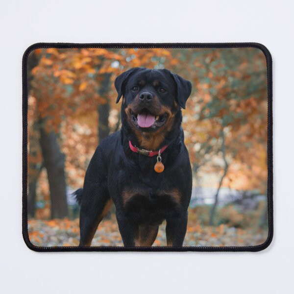 Item preview, Rottweiler Dog Playing Around the Forest designed and sold by VanGaldo.