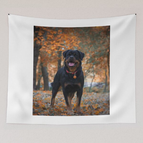Item preview, Rottweiler Dog Playing Around the Forest designed and sold by VanGaldo.