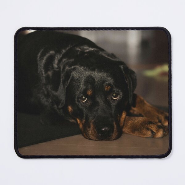 Item preview, Cute Rottweiler Dog Resting designed and sold by VanGaldo.
