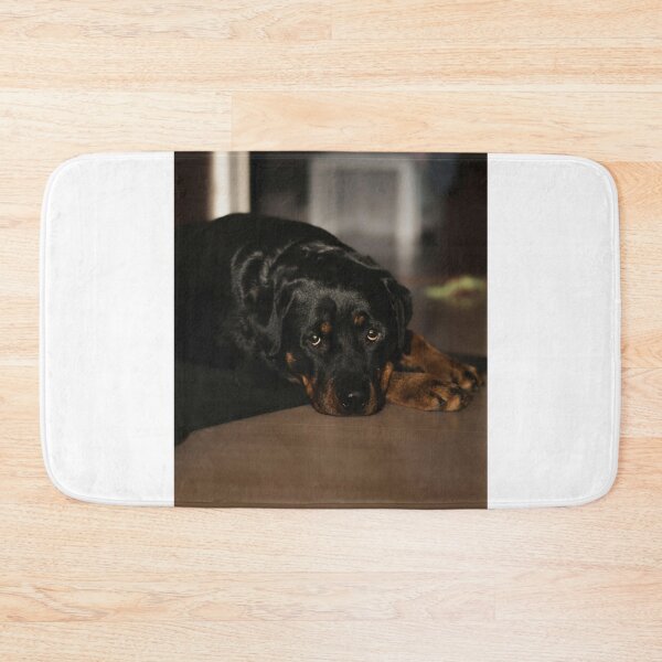 Item preview, Cute Rottweiler Dog Resting designed and sold by VanGaldo.