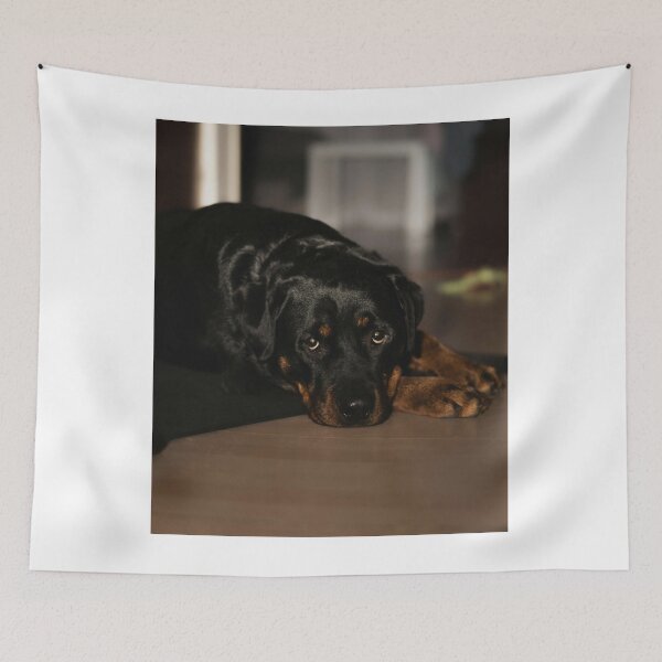 Item preview, Cute Rottweiler Dog Resting designed and sold by VanGaldo.