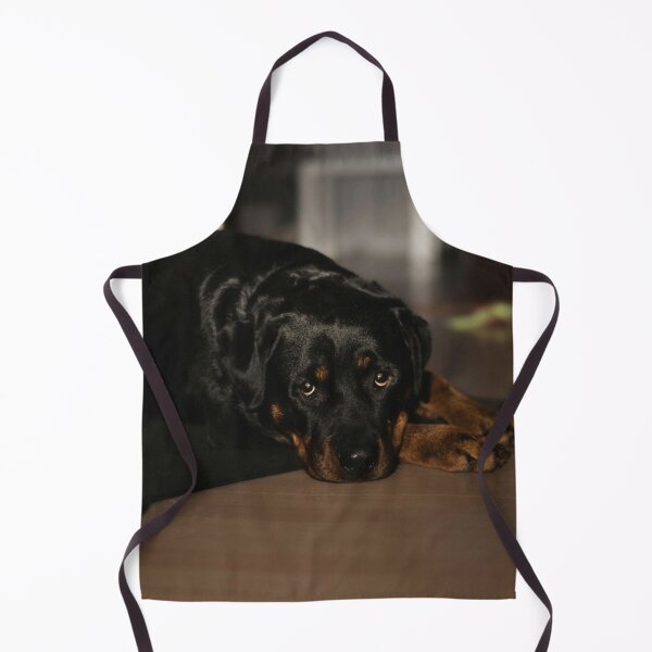 Item preview, Cute Rottweiler Dog Resting designed and sold by VanGaldo.