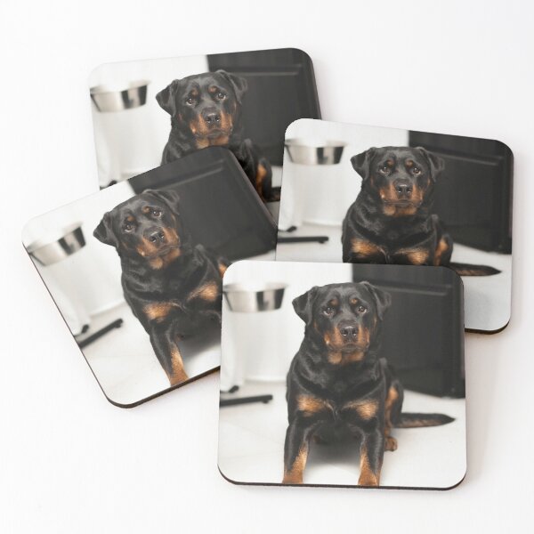 Item preview, Beautiful Rottweiler Dog Waiting for Food designed and sold by VanGaldo.