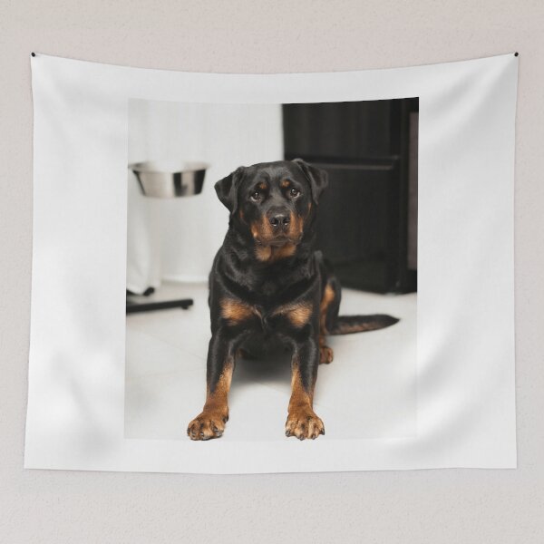 Item preview, Beautiful Rottweiler Dog Waiting for Food designed and sold by VanGaldo.