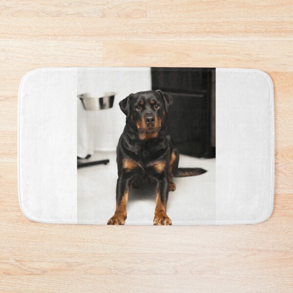 Item preview, Beautiful Rottweiler Dog Waiting for Food designed and sold by VanGaldo.