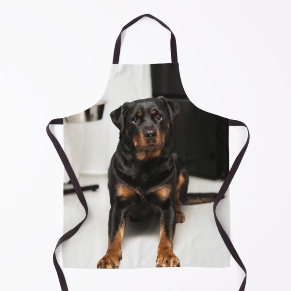 Item preview, Beautiful Rottweiler Dog Waiting for Food designed and sold by VanGaldo.