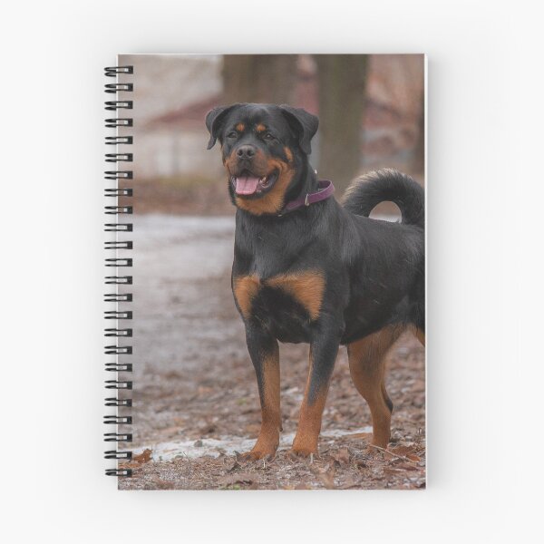 Item preview, Brave Rottweiler Dog Guarding designed and sold by VanGaldo.