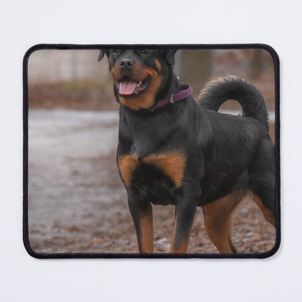 Item preview, Brave Rottweiler Dog Guarding designed and sold by VanGaldo.