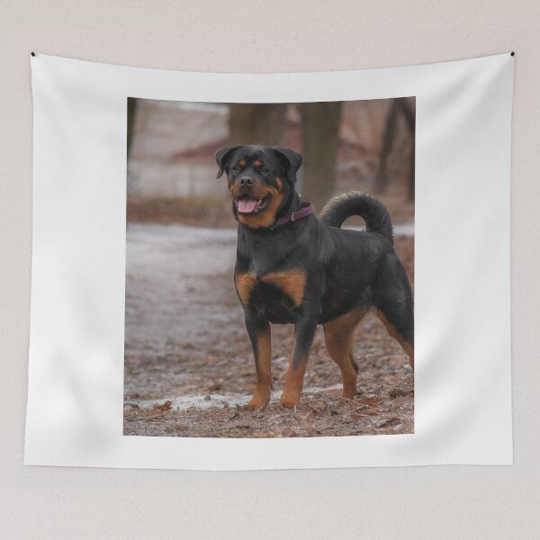 Item preview, Brave Rottweiler Dog Guarding designed and sold by VanGaldo.