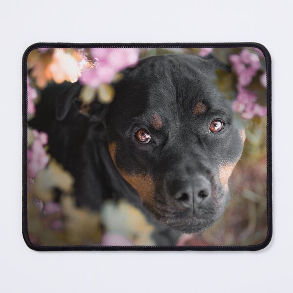 Item preview, Lovely Rottweiler Dog Surrounded with Purple Flowers  designed and sold by VanGaldo.