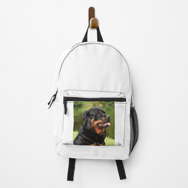 Item preview, Chubby Rottweiler Dog Looking Funny designed and sold by VanGaldo.
