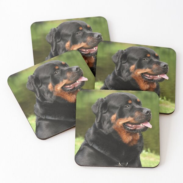 Item preview, Chubby Rottweiler Dog Looking Funny designed and sold by VanGaldo.